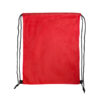 LL523_Red_Logoline Pronto Drawstring Backpack