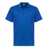 P206MS_bProduct_Royal_01_Biz Collection Mens Action Short Sleeve Polo